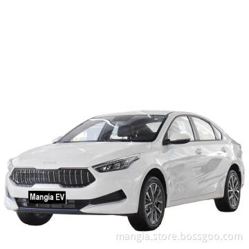 2023 New electric vehicle 4-wheel 5-seat domestic high-speed car High-quality rechargeable adult electric vehicle made in China